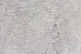 Spotted Bluestone Chiseled