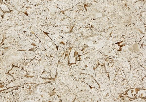Floreto