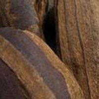 Tigers Eye Mixed