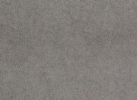 Belgio Grigio