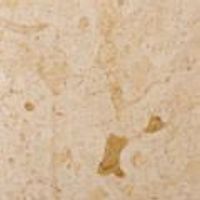 Jerusalem Ivory, Beige