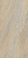 Point Beige Multicolor