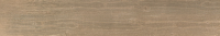 Soul Beige