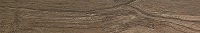 Quercia Antique