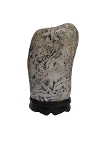 Bamboo Stone
