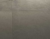 Ikon Silver