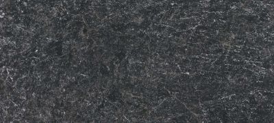 Ebony Black