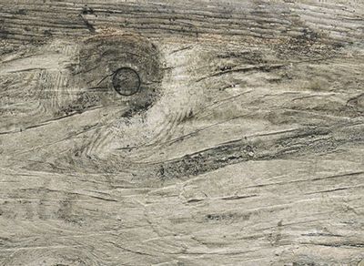 Legno Rustico Bianco Grigiastr