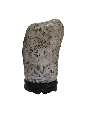 Bamboo Stone